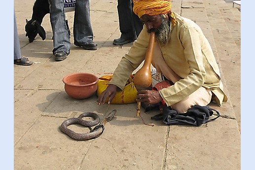 Viaggio in India 2008 - Varanasi